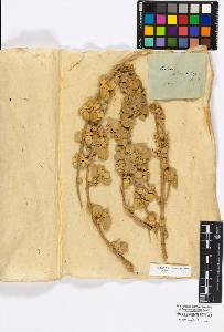 SW_BNB_s3010-16990_IMG-0000000001