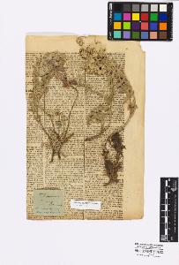 SW_BNB_s3010-16992_IMG-0000000001