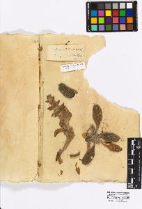 SW_BNB_s3010-16993_IMG-0000000001