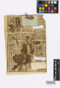 SW_BNB_s3010-16995_IMG-0000000001