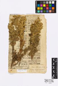 SW_BNB_s3010-16996_IMG-0000000001