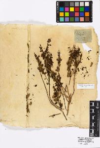 SW_BNB_s3010-16997_IMG-0000000001