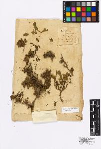 SW_BNB_s3010-16998_IMG-0000000001