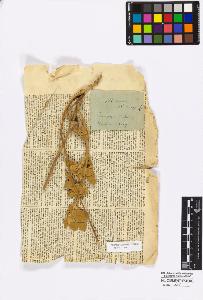 SW_BNB_s3010-17000_IMG-0000000001