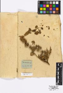 SW_BNB_s3010-17001_IMG-0000000001