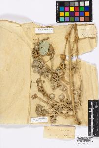 SW_BNB_s3010-17002_IMG-0000000001