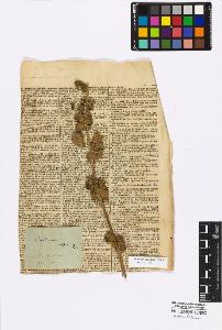 SW_BNB_s3010-17004_IMG-0000000001