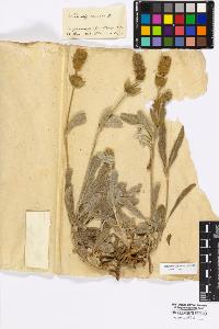 SW_BNB_s3010-17005_IMG-0000000001