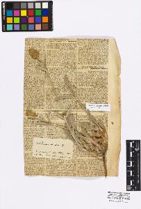 SW_BNB_s3010-17006_IMG-0000000001