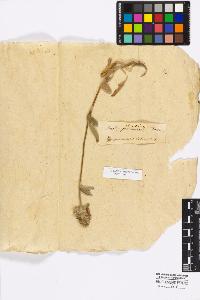 SW_BNB_s3010-17007_IMG-0000000001