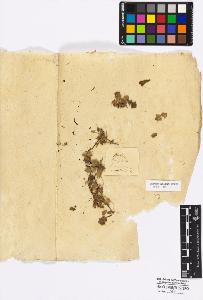 SW_BNB_s3010-17008_IMG-0000000001