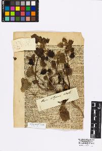 SW_BNB_s3010-17009_IMG-0000000001