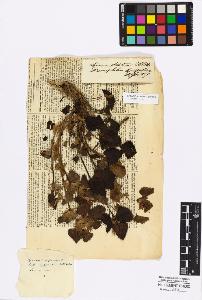 SW_BNB_s3010-17010_IMG-0000000001