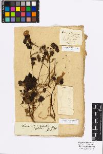 SW_BNB_s3010-17012_IMG-0000000001