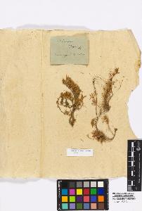 SW_BNB_s3010-17013_IMG-0000000001