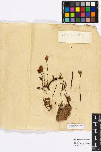 SW_BNB_s3010-17015_IMG-0000000001