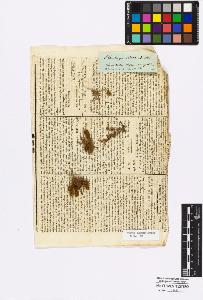 SW_BNB_s3010-17016_IMG-0000000001