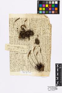 SW_BNB_s3010-17017_IMG-0000000001