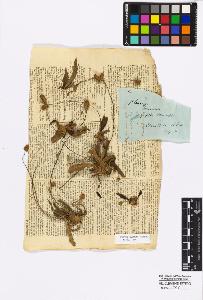 SW_BNB_s3010-17018_IMG-0000000001