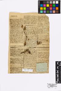 SW_BNB_s3010-17019_IMG-0000000001