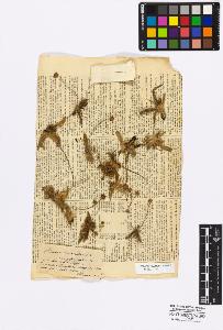 SW_BNB_s3010-17020_IMG-0000000001