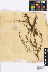 SW_BNB_s3010-17021_IMG-0000000001