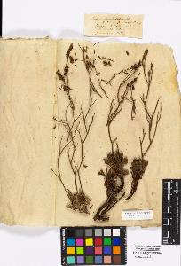 SW_BNB_s3010-17022_IMG-0000000001