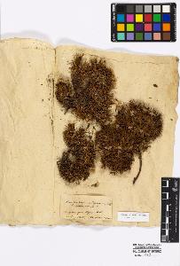 SW_BNB_s3010-17023_IMG-0000000001