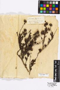 SW_BNB_s3010-17024_IMG-0000000001