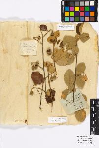 SW_BNB_s3010-17025_IMG-0000000001