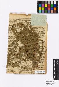 SW_BNB_s3010-17026_IMG-0000000001