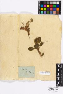 SW_BNB_s3010-17027_IMG-0000000001