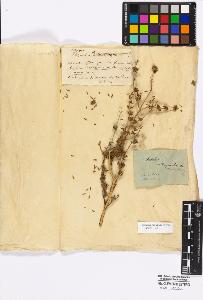 SW_BNB_s3010-17028_IMG-0000000001