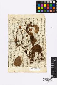 SW_BNB_s3010-17029_IMG-0000000001