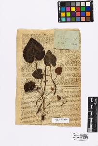 SW_BNB_s3010-17030_IMG-0000000001