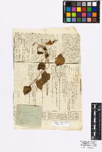 SW_BNB_s3010-17031_IMG-0000000001