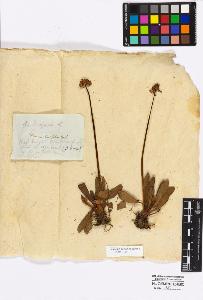 SW_BNB_s3010-17032_IMG-0000000001