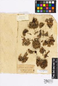 SW_BNB_s3010-17033_IMG-0000000001