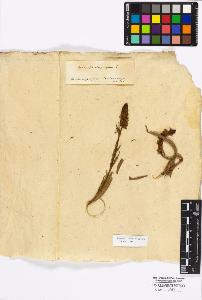 SW_BNB_s3010-17034_IMG-0000000001