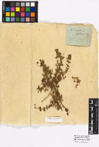 SW_BNB_s3010-17035_IMG-0000000001