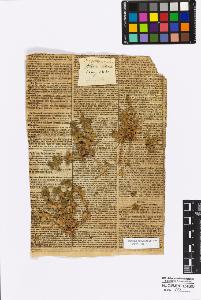 SW_BNB_s3010-17036_IMG-0000000001