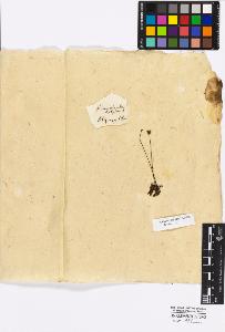 SW_BNB_s3010-17037_IMG-0000000001