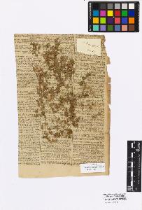 SW_BNB_s3010-17041_IMG-0000000001