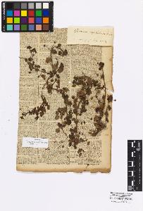 SW_BNB_s3010-17042_IMG-0000000001