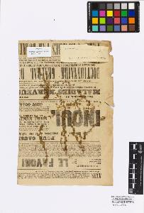 SW_BNB_s3010-17043_IMG-0000000001