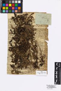 SW_BNB_s3010-17045_IMG-0000000001