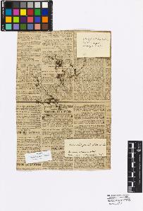 SW_BNB_s3010-17046_IMG-0000000001