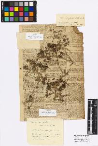 SW_BNB_s3010-17048_IMG-0000000001