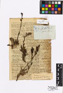 SW_BNB_s3010-17049_IMG-0000000001