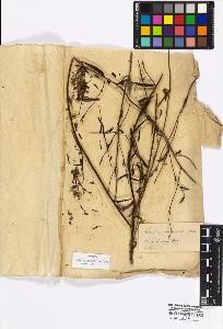 SW_BNB_s3010-17050_IMG-0000000001